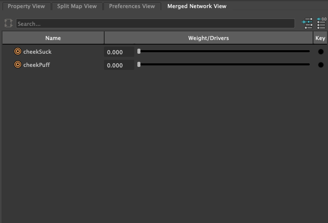 Merged_Network_View.png